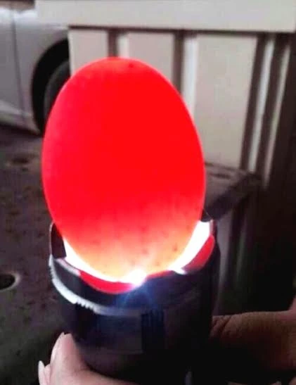đá, nợ, đá lạ, con buôn, thương lái, Bờ Y, Ngọc Hồi, Trung Quốc đá, nợ, đá lạ, con buôn, thương lái, Bờ Y, Ngọc Hồi, Trung Quốc