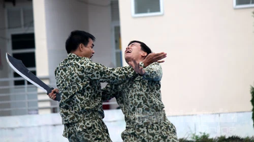 Mãn nhãn xem bộ đội Đặc công trình diễn võ thuật ảnh 5 Mãn nhãn xem bộ đội Đặc công trình diễn võ thuật ảnh 5