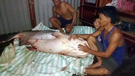 “Thủy quái” trăm triệu vào tay thợ săn Việt