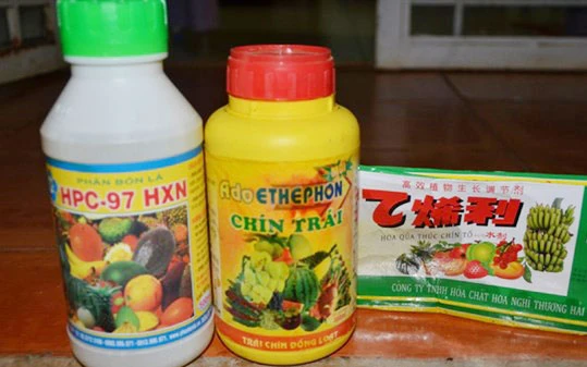 Cận cảnh 'công nghệ' khoét lỗ đổ hóa chất ép mít chín siêu tốc ảnh 2 Cận cảnh 'công nghệ' khoét lỗ đổ hóa chất ép mít chín siêu tốc ảnh 2