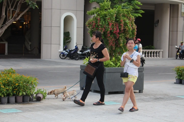 Chiều cuối tuần rộn rã ở phố đi bộ Nguyễn Huệ ảnh 6 Chiều cuối tuần rộn rã ở phố đi bộ Nguyễn Huệ ảnh 6