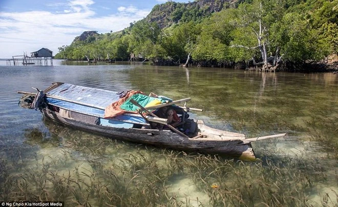 Khám phá cuộc sống như ở xứ sở thần tiên của người Bajau ảnh 19 Khám phá cuộc sống như ở xứ sở thần tiên của người Bajau ảnh 19