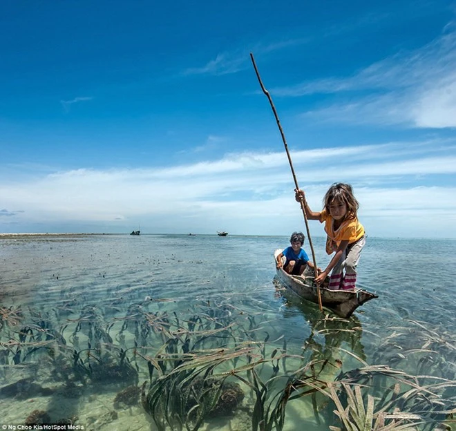 Khám phá cuộc sống như ở xứ sở thần tiên của người Bajau ảnh 10 Khám phá cuộc sống như ở xứ sở thần tiên của người Bajau ảnh 10
