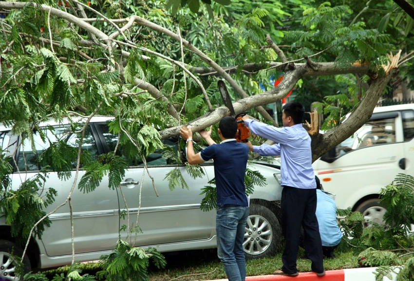 Innova 7 chỗ bẹp dúm sau khi tông gẫy đôi cây trên phố Hà Nội ảnh 5