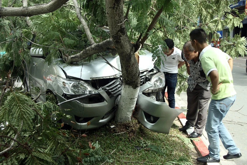 Innova 7 chỗ bẹp dúm sau khi tông gẫy đôi cây trên phố Hà Nội ảnh 3