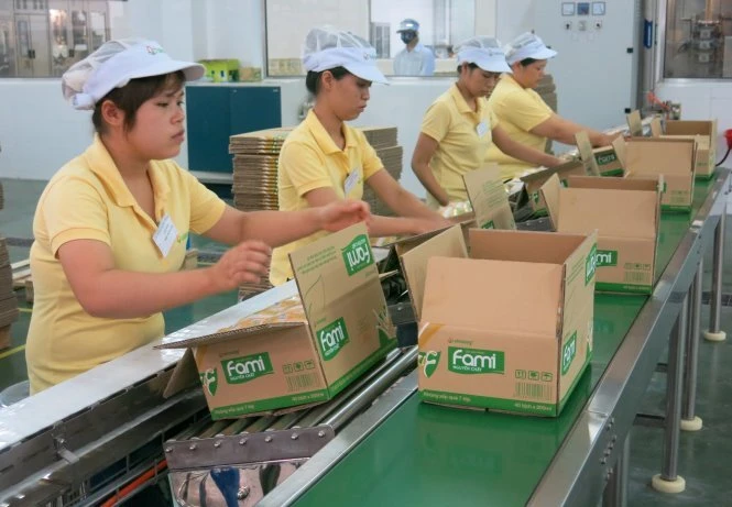 Theo đề xuất của Tổng Liên đoàn lao động Việt Nam, lương tối thiểu sẽ tăng tới 600.000 đồng/ tháng so với năm nay - Ảnh: Lê Thanh