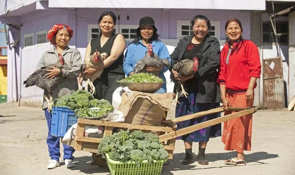 Người đàn ông có 39 vợ và 127 con cháu sống chung nhà ảnh 4