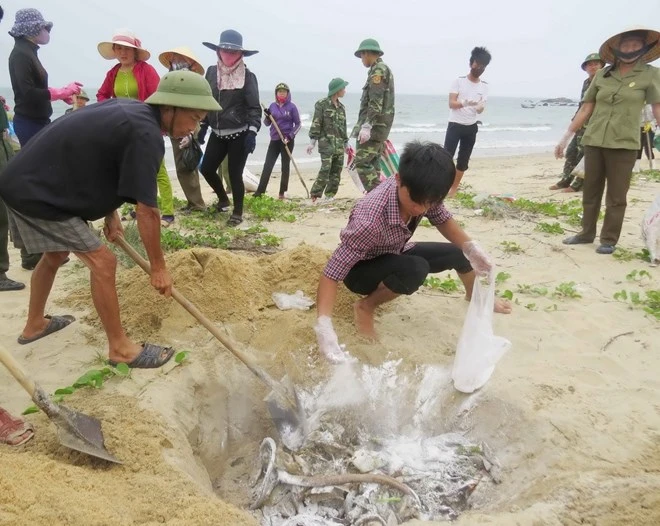 Vụ cá chết bất thường: Bốn bộ công bố kết quả kiểm tra ảnh 1 Vụ cá chết bất thường: Bốn bộ công bố kết quả kiểm tra ảnh 1