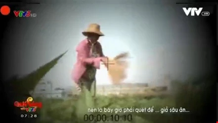Yêu cầu VTV giải trình về phóng sự 'cây chổi quét rau' ảnh 1