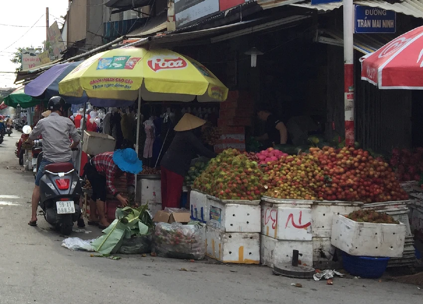 Chôm chôm Long Khánh vào 'bảng vàng' đặc sản quốc gia ảnh 1 Chôm chôm Long Khánh vào 'bảng vàng' đặc sản quốc gia ảnh 1
