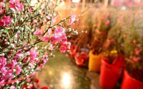 những điều thú vị về tết âm lịch hình 2 nhung dieu thu vi ve tet am lich hinh 2