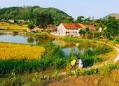 ‘Dân làm ra vẻ đẹp Tam Kỳ chứ ai!’
