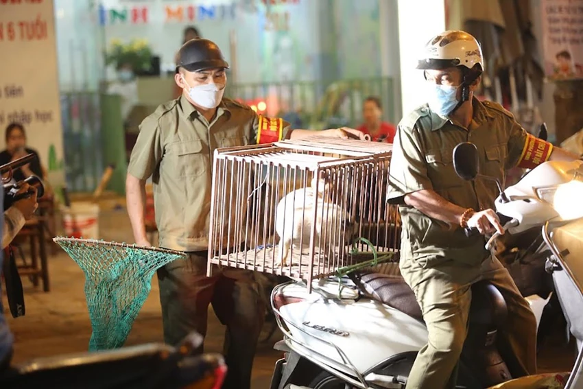 Chú chó được chủ thả rông ra đường bị bắt nhốt vào lồng, đưa về UBND phường Kim Giang để chờ chủ đến nhận lại sau khi bị nhắc nhở, xử phạt. Ảnh: TRỌNG PHÚ Chú chó được chủ thả rông ra đường bị bắt nhốt vào lồng, đưa về UBND phường Kim Giang để chờ chủ đến nhận lại sau khi bị nhắc nhở, xử phạt. Ảnh: TRỌNG PHÚ