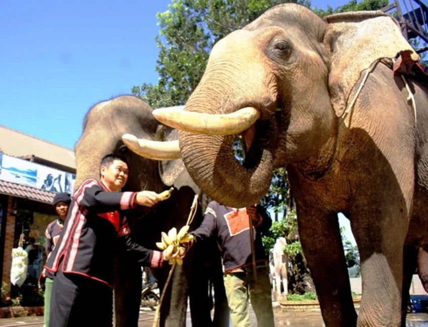 Dang-nang-long_1730093978866.jpg
