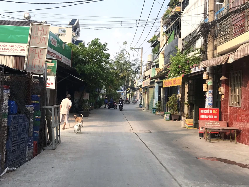 đường Bình Thành được sửa chữa