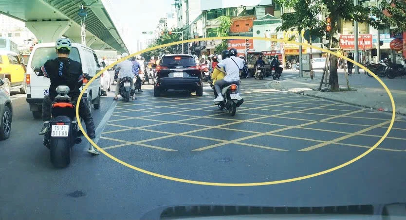 vạch mắt võng