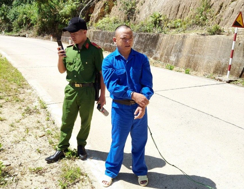 Trần Lê Thanh Tú là kẻ chủ mưu vụ phá rừng đầu nguồn