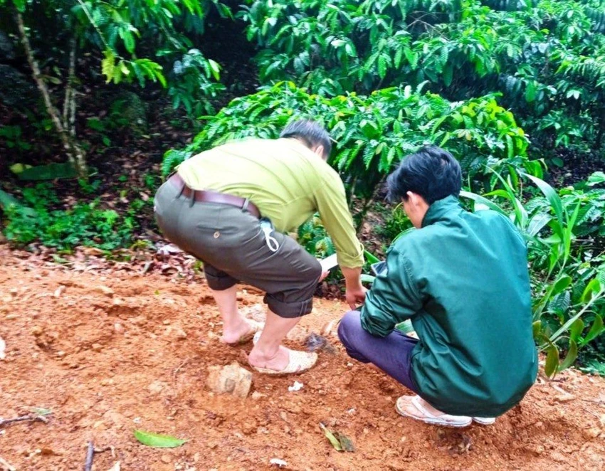 Hạt Kiểm lâm huyện Bảo Lâm đến hiện trường xác minh thông tin Hạt Kiểm lâm huyện Bảo Lâm đến hiện trường xác minh thông tin