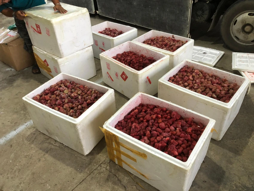 310kg dâu tây đông lạnh nhập lậu vào tỉnh Lâm Đồng bị công an huyện Đức Trọng phát hiện. Ảnh VT 310kg dâu tây đông lạnh nhập lậu vào tỉnh Lâm Đồng bị công an huyện Đức Trọng phát hiện. Ảnh VT