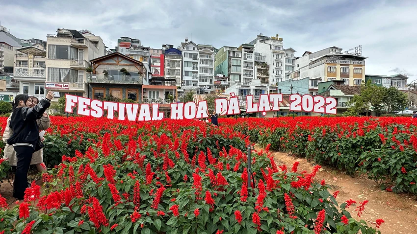 Đà Lạt đã sẵn sàng cho lễ hội hoa năm 2022. Ảnh: VÕ TÙNG Đà Lạt đã sẵn sàng cho lễ hội hoa năm 2022. Ảnh: VÕ TÙNG