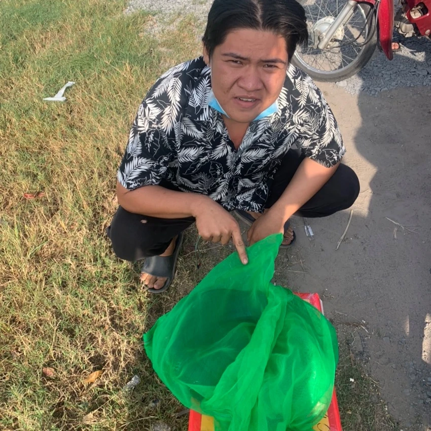 Con rắn hổ chúa nặng hơn 3kg bị thu giữ. Ảnh: VÕ TÙNG