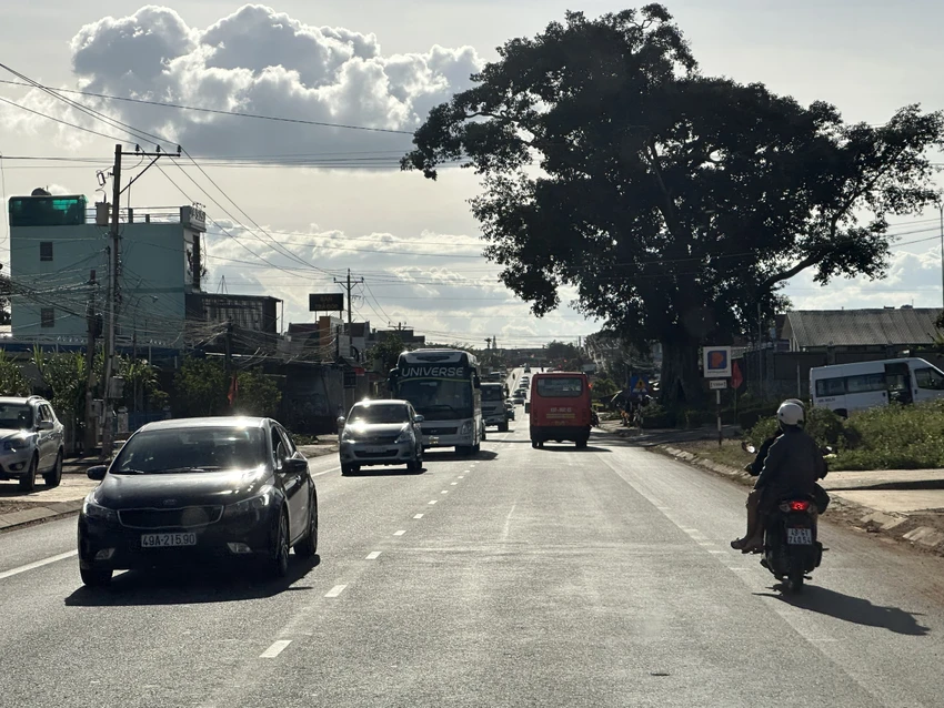 Ngày mồng 2 tết, thời tiết Lâm Đồng khá đẹp. Nắng vàng trải dài từ huyện Đạ Huoai lên đến TP Đà Lạt. Ảnh: VT Ngày mồng 2 tết, thời tiết Lâm Đồng khá đẹp. Nắng vàng trải dài từ huyện Đạ Huoai lên đến TP Đà Lạt. Ảnh: VT
