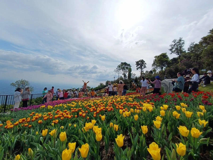 Du khách check - in bên vườn hoa tulip