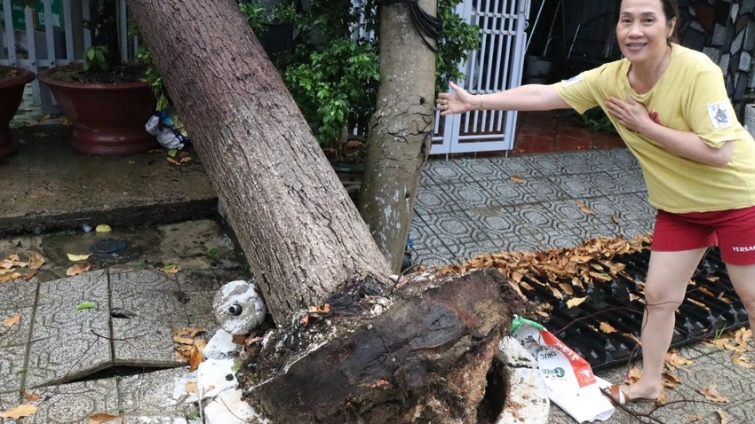 Trụ điện bị gãy Trụ điện bị gãy