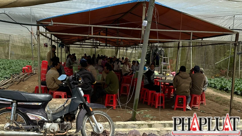 Người dân ở Thạnh Mỹ bàng hoàng trước vụ án mạng. Ảnh: VÕ TÙNG