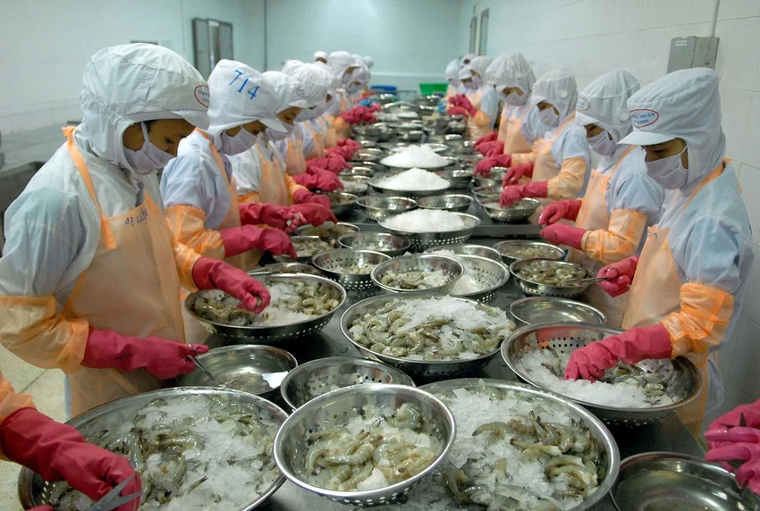 2021, sức mạnh để vươn lên ảnh 3