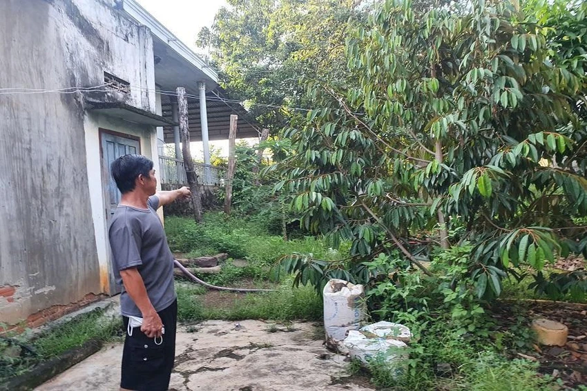 Khu vực đất nhà bà Lê Thị Lan. Ảnh: QN Khu vực đất nhà bà Lê Thị Lan. Ảnh: QN