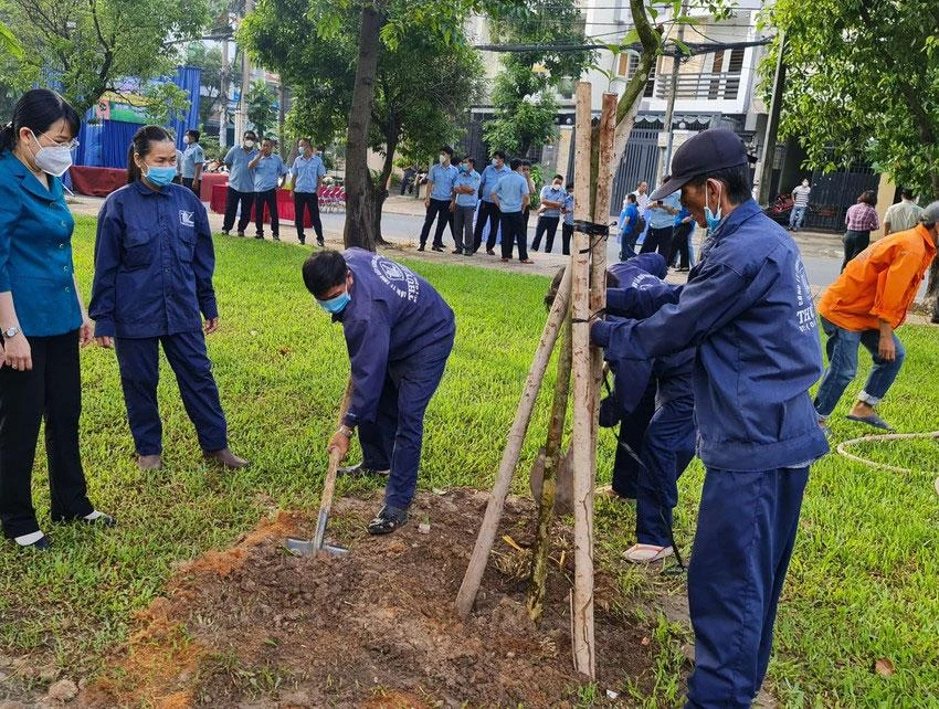 TP.HCM đang thực hiện nhiều chương trình nhằm tăng mảng xanh trên địa bàn. Ảnh: BQ TP.HCM đang thực hiện nhiều chương trình nhằm tăng mảng xanh trên địa bàn. Ảnh: BQ