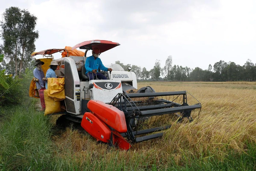 Dự thảo Luật Đất đai (sửa đổi) không hạn chế tổ chức kinh tế, hộ gia đình, cá nhân không trực tiếp sản xuất nông nghiệp được nhận chuyển nhượng đất trồng lúa. Ảnh minh họa: NGUYỆT NHI Dự thảo Luật Đất đai (sửa đổi) không hạn chế tổ chức kinh tế, hộ gia đình, cá nhân không trực tiếp sản xuất nông nghiệp được nhận chuyển nhượng đất trồng lúa. Ảnh minh họa: NGUYỆT NHI