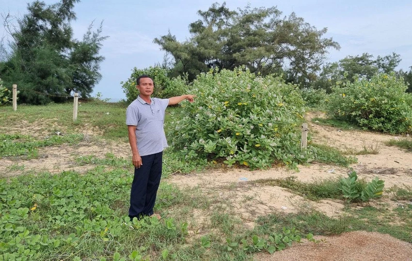Ông Lê Tấn Nhất trên khu đất liên quan vụ tranh chấp. Ảnh: TẤN LỘC Ông Lê Tấn Nhất trên khu đất liên quan vụ tranh chấp. Ảnh: TẤN LỘC