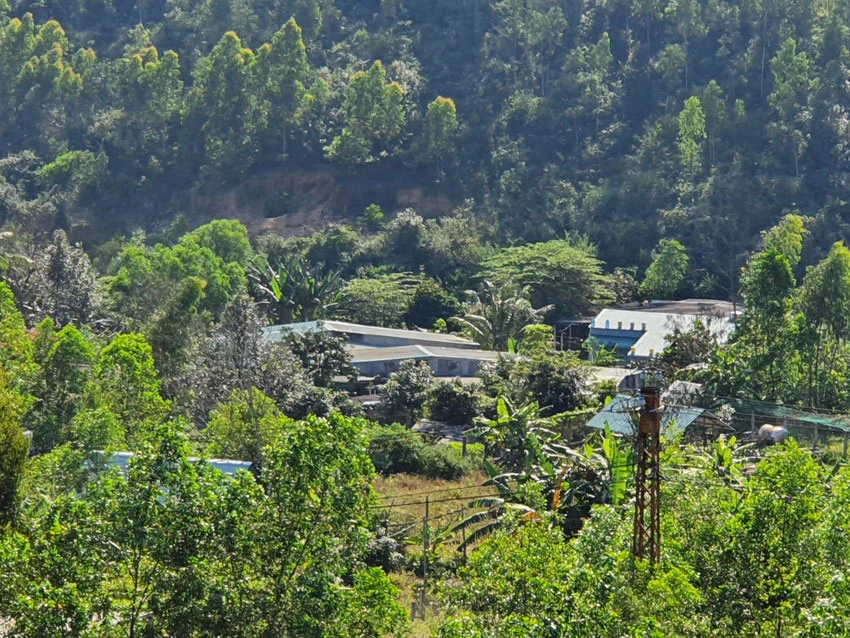 Nhiều công trình “mọc” trên đất lâm nghiệp ở thung lũng Quy Hòa. Ảnh: QN