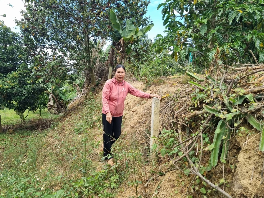 thi hành án