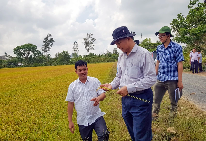 P8-bai2_nguyenchau_hạnman-h2-thylan.jpg