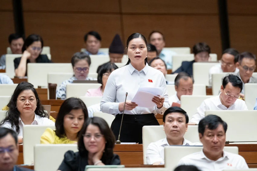 Luật đất đai
