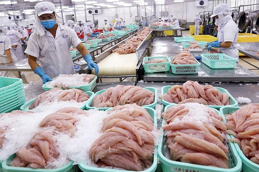 Giảm rủi ro cho kinh tế Việt trước xung đột Nga - Ukraine ảnh 3 Giảm rủi ro cho kinh tế Việt trước xung đột Nga - Ukraine ảnh 3