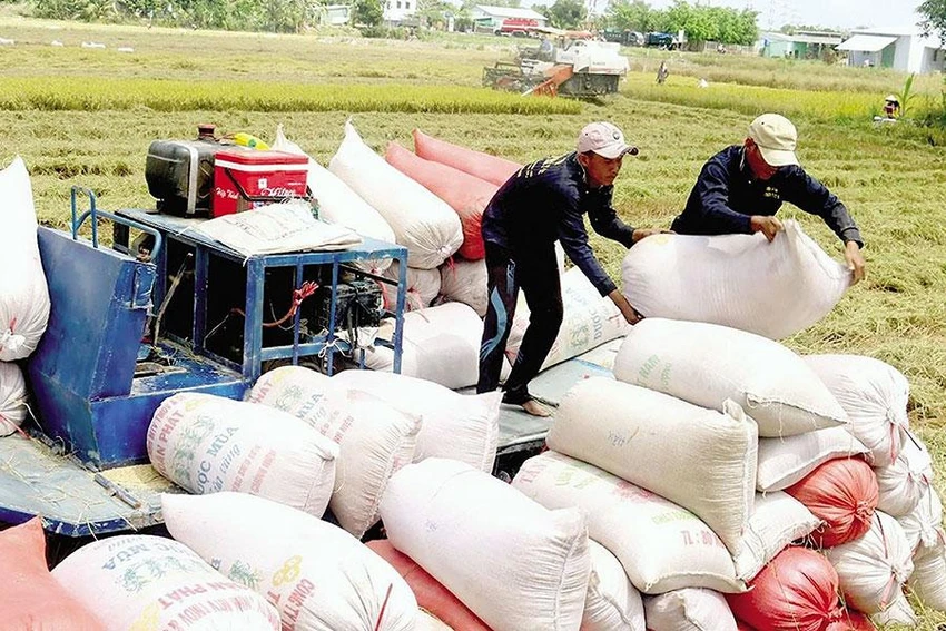 Việt Nam là một trong ba quốc gia xuất khẩu gạo lớn nhất thế giới hiện nay nhưng vẫn nhập từ Campuchia để đa dạng nguồn cung. Ảnh: QH