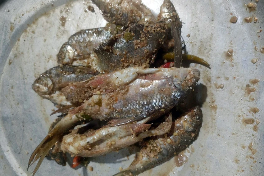 Món cá muối ủ chua của đồng bào vùng cao Quảng Nam (trong ảnh là cá niên ủ chua). Ảnh: ĐĂNG NGUYÊN Món cá muối ủ chua của đồng bào vùng cao Quảng Nam (trong ảnh là cá niên ủ chua). Ảnh: ĐĂNG NGUYÊN
