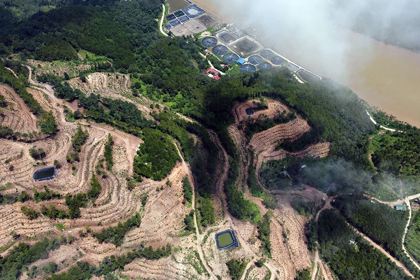 48,8 ha là diện tích rừng thông đang được xin chuyển đổi làm khu du lịch sinh thái. Ảnh: ĐẶNG TRUNG 48,8 ha là diện tích rừng thông đang được xin chuyển đổi làm khu du lịch sinh thái. Ảnh: ĐẶNG TRUNG