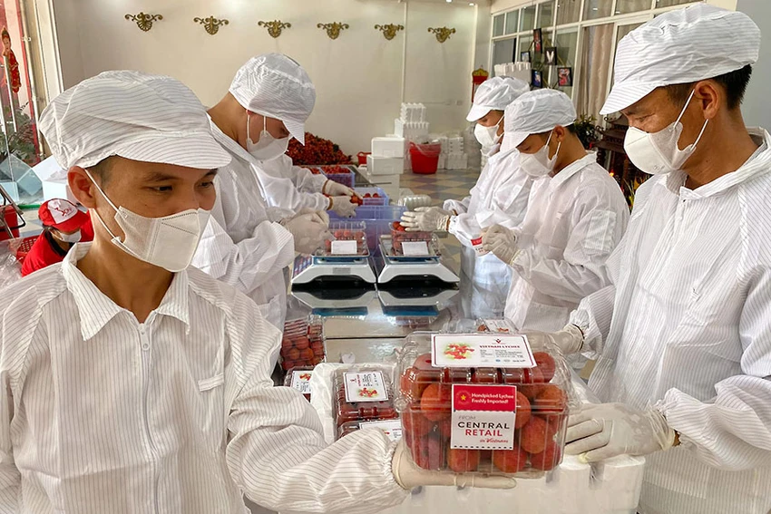 Tem chỉ dẫn địa lý, các logo nhãn mác là những tiêu chí cần để sản phẩm đứng vững tại thị trường quốc tế. Ảnh: Q.HUY Tem chỉ dẫn địa lý, các logo nhãn mác là những tiêu chí cần để sản phẩm đứng vững tại thị trường quốc tế. Ảnh: Q.HUY