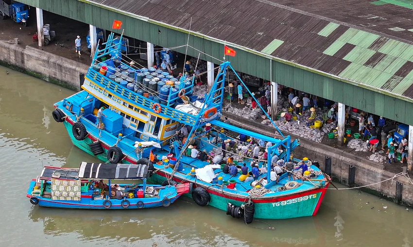 P23_Chinh_h2.jpg