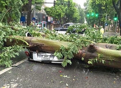 Cây đổ đề bẹp xe ô tô tại ngã tư Hai Bà Trung - Quang Trung vào sáng nay (ảnh Facebook Huy)