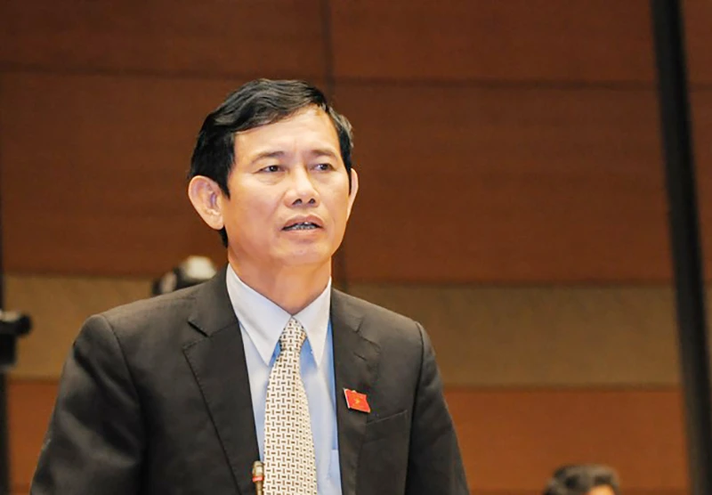 'Nếu tôi là ông Cự, tôi sẽ không tham gia Quốc hội' ảnh 2 'Nếu tôi là ông Cự, tôi sẽ không tham gia Quốc hội' ảnh 2