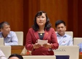 Sửa đổi Luật đất đai: 'Chưa biết lùi đến bao giờ"