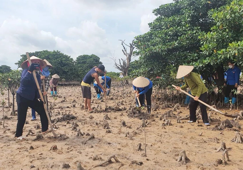 Cộng đồng người dân địa phương cũng tham gia trồng cây tái tạo rừng ngập mặn. Cộng đồng người dân địa phương cũng tham gia trồng cây tái tạo rừng ngập mặn.