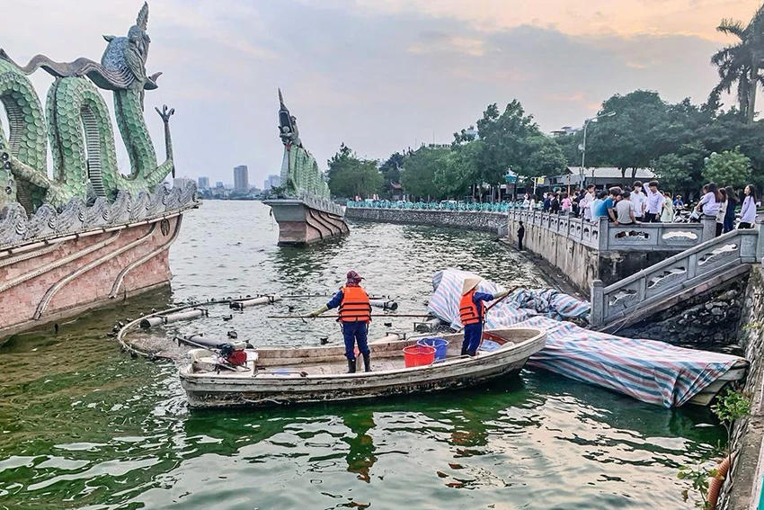 Cá chết tại hồ Tây khiến đơn vị quản lý hồ phải bố trí lực lượng vớt cá chết, vệ sinh mặt nước. (Ảnh: TP) Cá chết tại hồ Tây khiến đơn vị quản lý hồ phải bố trí lực lượng vớt cá chết, vệ sinh mặt nước. (Ảnh: TP)