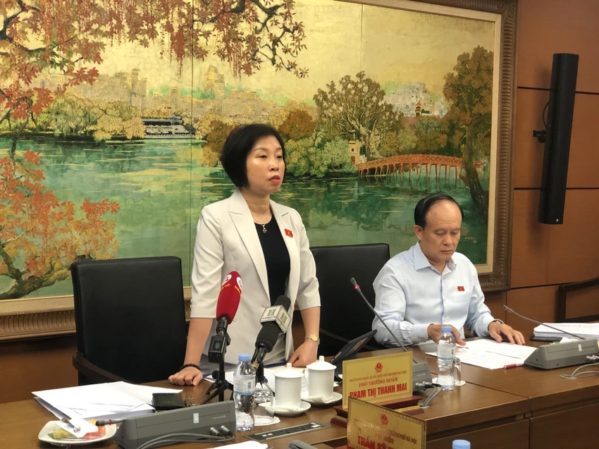 pham-thi-thanh-mai.JPG